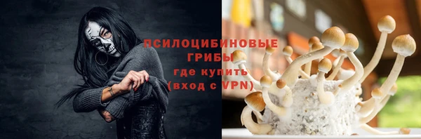 прущая мука Алзамай