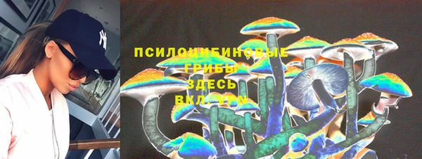 бошки Алексеевка